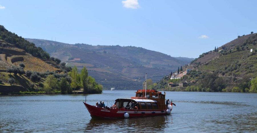 Porto: Douro Valley Vineyards Tour with Lunch & River Cruise - Key points before you book