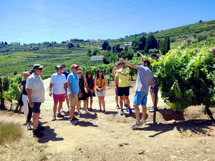 Porto: Douro Valley Vineyards Tour with Lunch & River Cruise - Why the Douro Valley is worth a full day from Porto