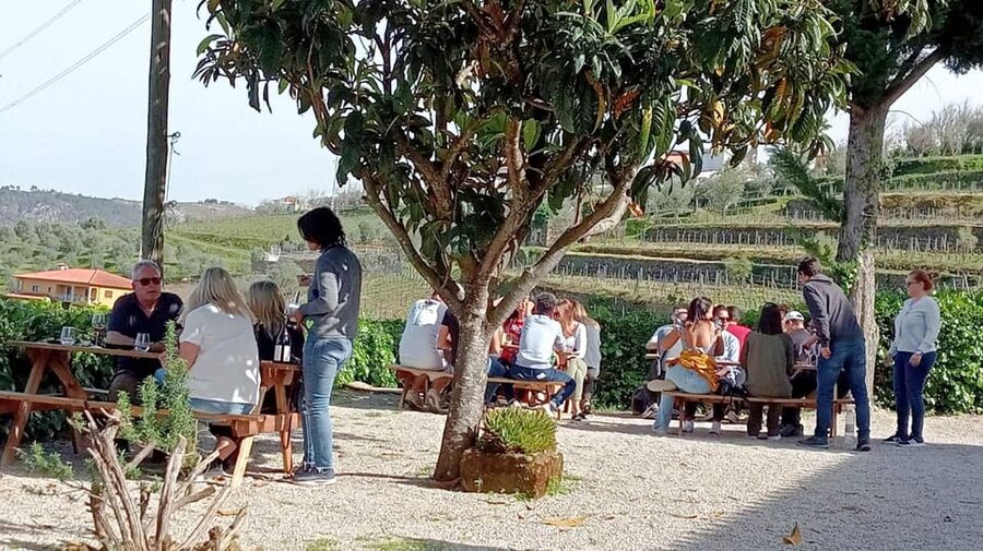 Porto: Douro Valley Vineyards Tour with Lunch & River Cruise - Pinhão and the river cruise