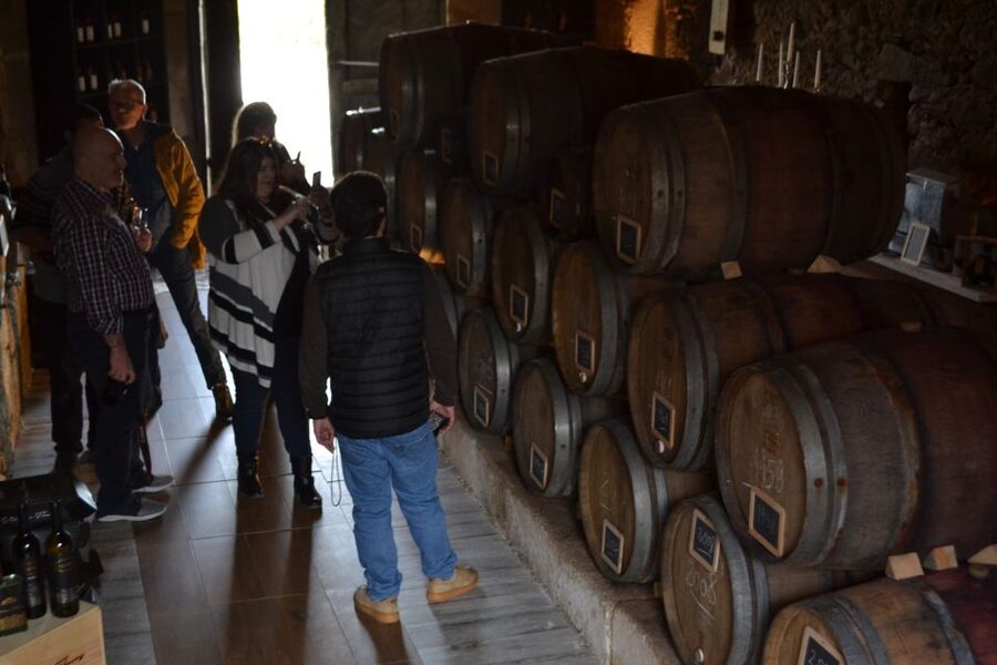Porto: Douro Valley Vineyards Tour with Lunch & River Cruise - The morning drive through Portugal’s wine country