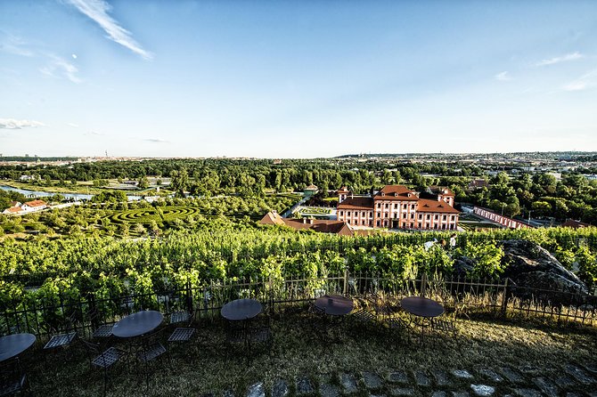 Prague´s Hidden Vineyards Private Tour - Why Prague is worth exploring through wine