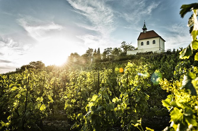 Prague´s Hidden Vineyards Private Tour - The guides shape the experience