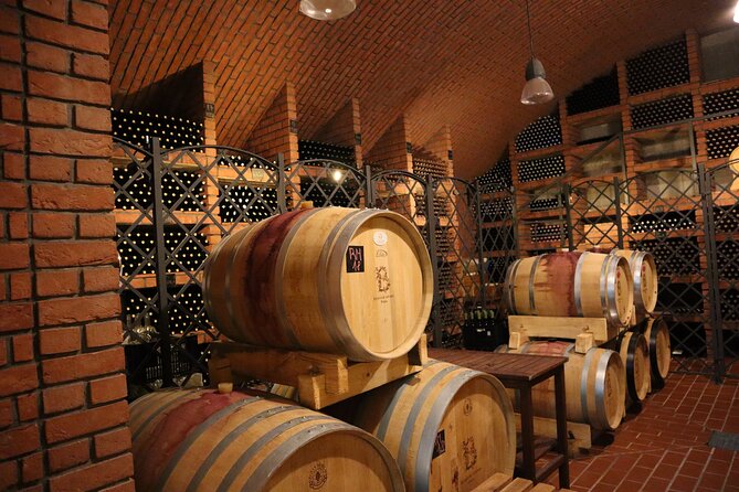Prague´s Hidden Vineyards Private Tour - Who should book this Prague vineyard tour?