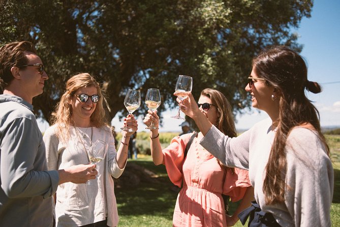 Premium Vineyard Tour & Tasting - Key points at a glance