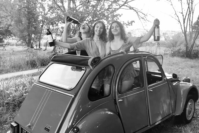 Private 2cv tour in the vineyards and Wine tasting - Weather, timing, and booking advice