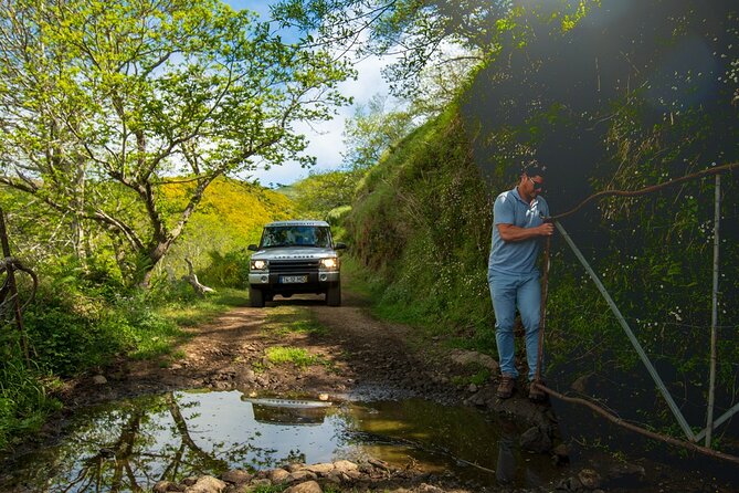 Private 4x4 Jeep Half Day - Picturesque Peaks, Vineyards, Skywalk - Why this private Madeira tour works well