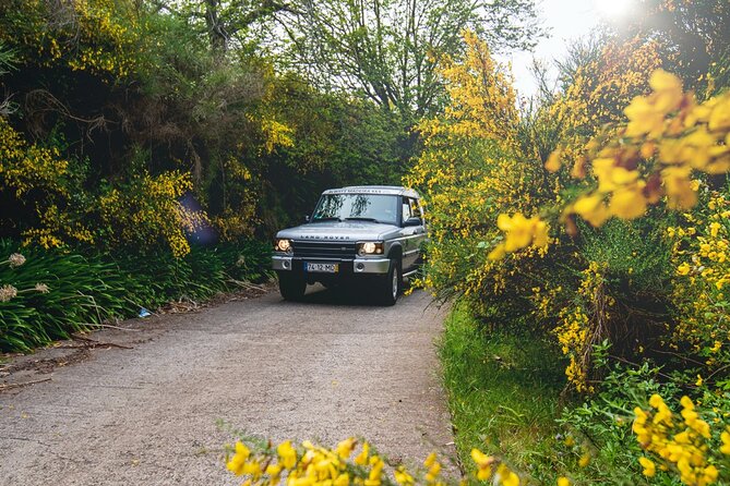 Private 4x4 Jeep Half Day - Picturesque Peaks, Vineyards, Skywalk - Boca dos Namorados and the Nun’s Valley view