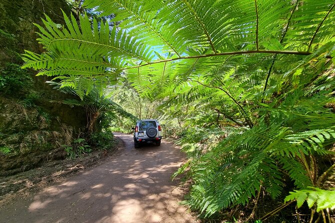 Private 4x4 Jeep Half Day - Picturesque Peaks, Vineyards, Skywalk - Cabo Girão and the 580-meter glass platform