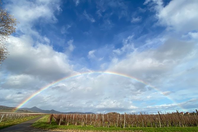 Private and customizable: Alsace Wine Route HIGHLIGHTS in 3 hours - What this three-hour Alsace outing is really designed to do