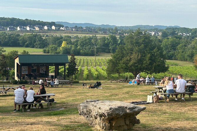 Private Arrington Wine and Franklin Dine Tour from Nashville - Key points to know before you book