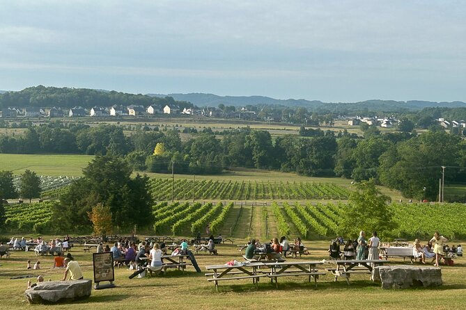 Private Arrington Wine and Franklin Dine Tour from Nashville - The longest stop at Arrington Vineyards