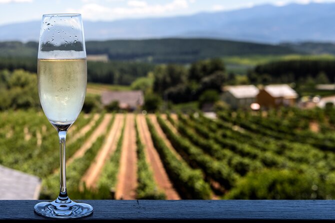 Private Champagne Day Trip - Two Vineyards of Reims & Lunch - The day begins at Gare de l’Est
