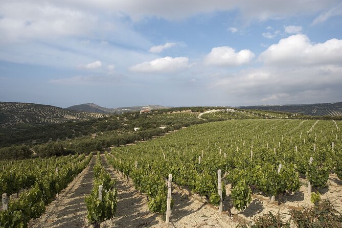 Private Cretan Gastronomic experience Winery visit with Tastings & Cooking Class - Five organic wines and a cellar picnic