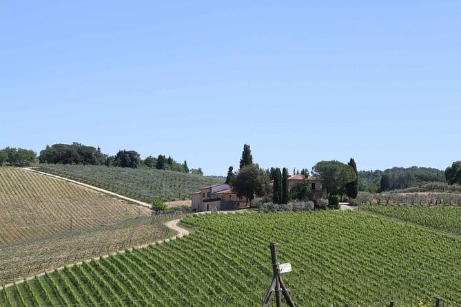 Private daytrip to Siena & Chianti wine country, with wine tasting from Florence - The Chianti road between Greve and Panzano