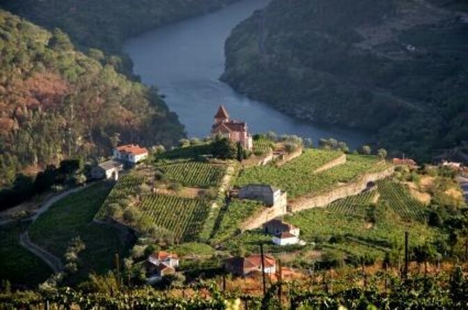 Private Douro Valley visit to three vineyards with Lunch from Porto - Key points to know before booking