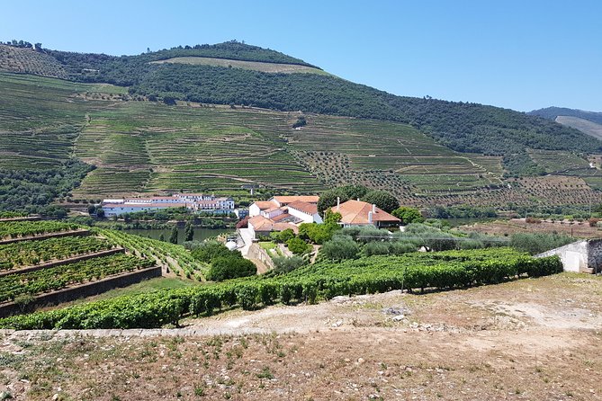 Private Douro Valley visit to three vineyards with Lunch from Porto - The morning pickup and long road to Lamego