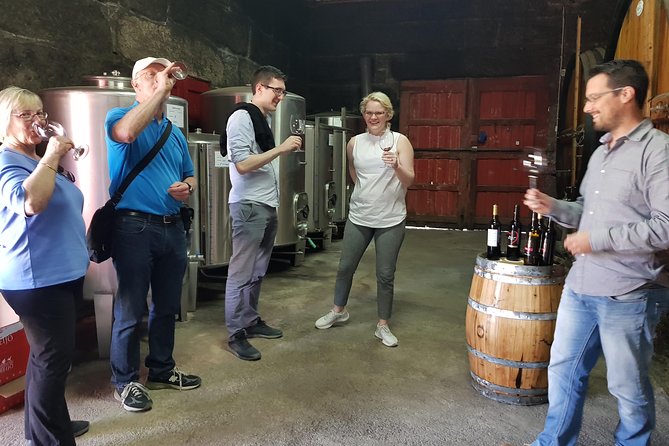 Private Douro Valley visit to three vineyards with Lunch from Porto - Stop one near Lamego: a small family producer