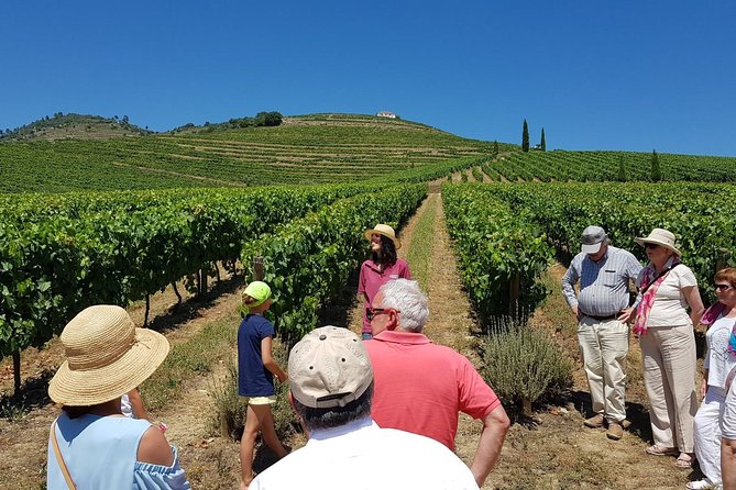 Private Douro Valley Wine Tour: 2 Wine Estates, Lunch and Cruise - Why the Douro Valley Is Worth Giving Up a Porto Day