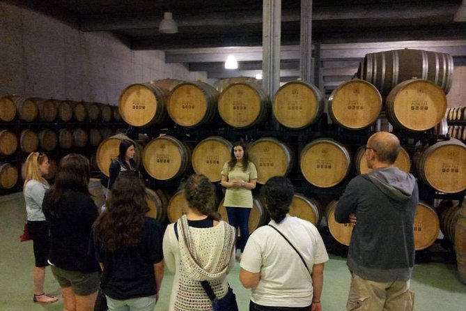 Private Douro Valley Wine Tour: 2 Wine Estates, Lunch and Cruise - Leaving Porto at 9:00 a.m.