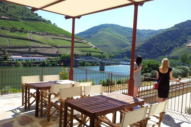Private Douro Valley Wine Tour: 2 Wine Estates, Lunch and Cruise - Viewpoints, Curving Roads, and the N222