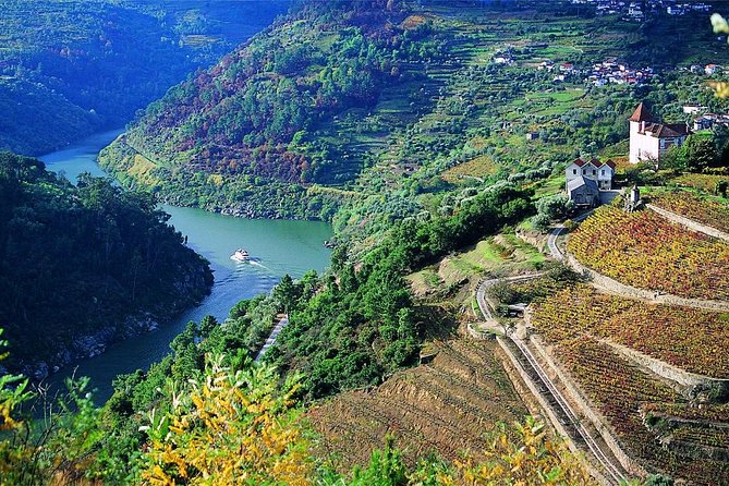 Private Douro Valley Wine Tour: 2 Wine Estates, Lunch and Cruise - Who Will Enjoy This Day Most?