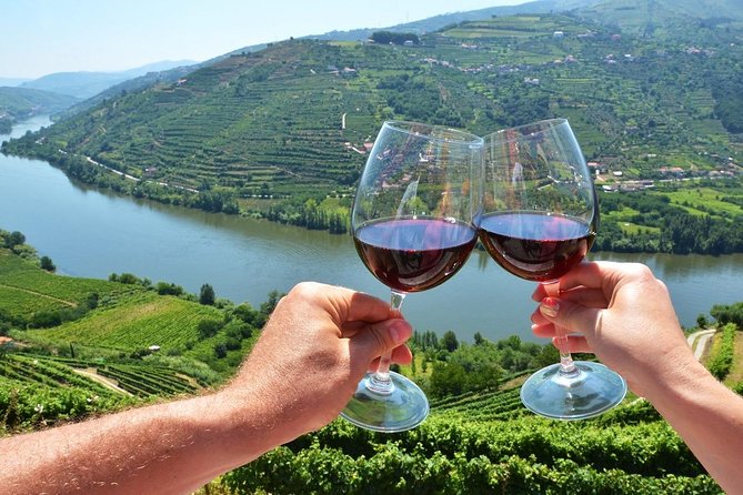 Private Douro Valley Wine Tour: 2 Wine Estates, Lunch and Cruise - Practical Tips Before You Reserve