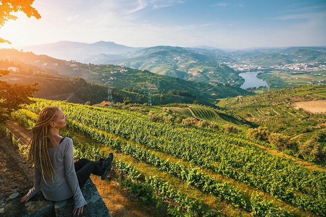 Private Douro Valley Wine Tour: 2 Wine Estates, Lunch and Cruise - The First Estate Near Sabrosa