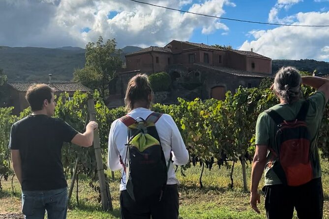 Private Etna Tour and 200 Years Old Winery Visit with Lunch - What makes Scilio Tenuta di Valle Galfina different