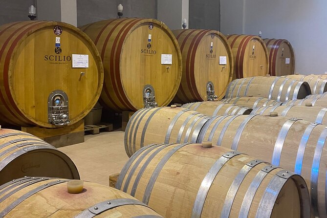 Private Etna Tour and 200 Years Old Winery Visit with Lunch - Walking through the vineyards after lunch