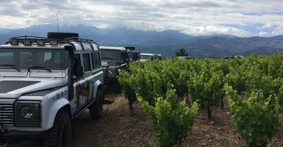 Private Exclusive Manousakis Winery and Vineyard Tour - Key points at a glance