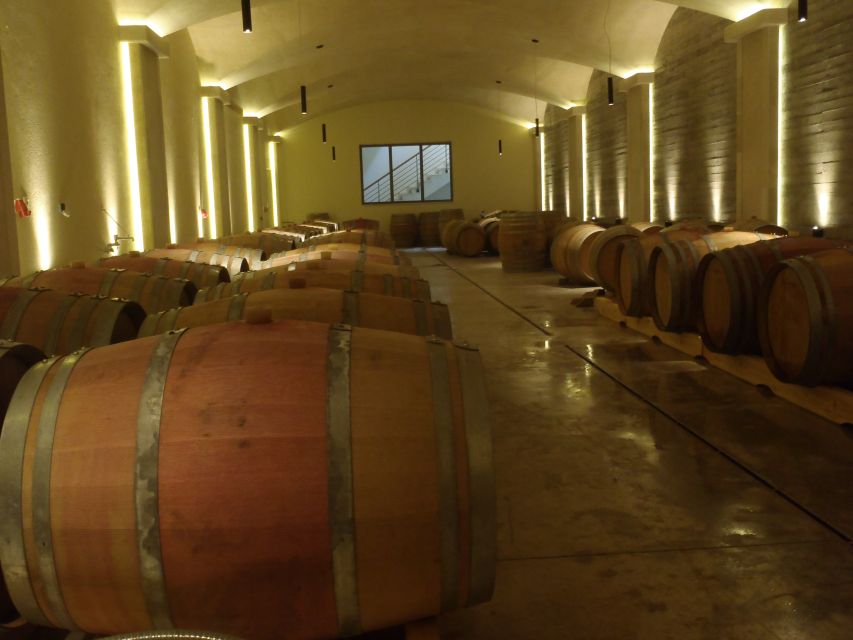 Private Exclusive Manousakis Winery and Vineyard Tour - Final verdict: book it for the route, not only the wine