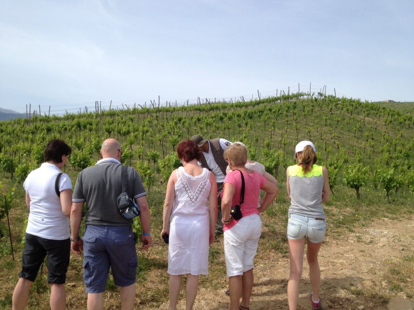 Private Exclusive Manousakis Winery and Vineyard Tour - What the 4x4 vineyard section adds