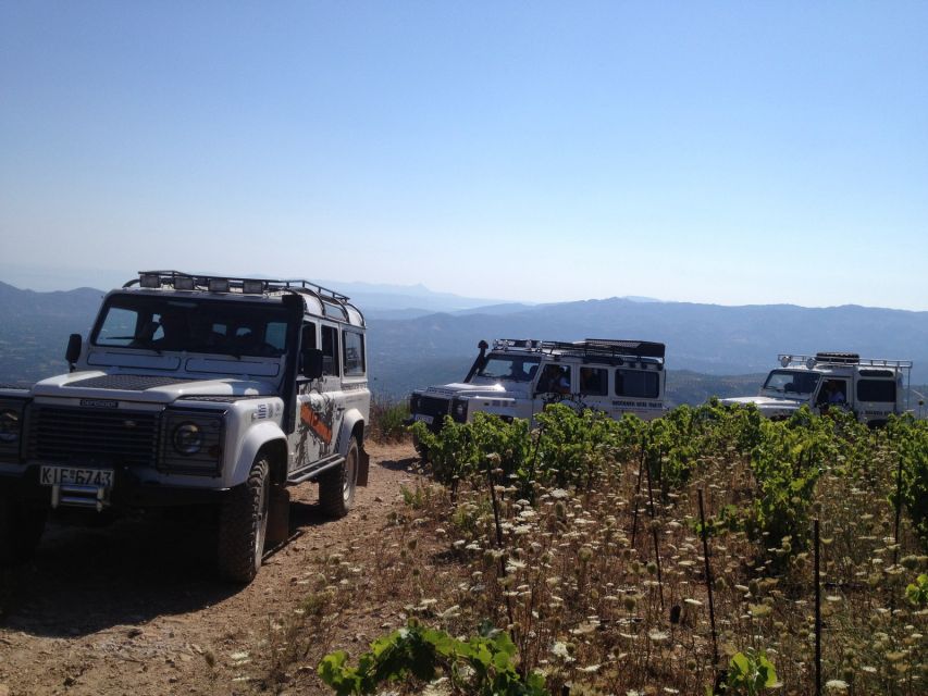 Private Exclusive Manousakis Winery and Vineyard Tour - Is $565 good value for up to four people?