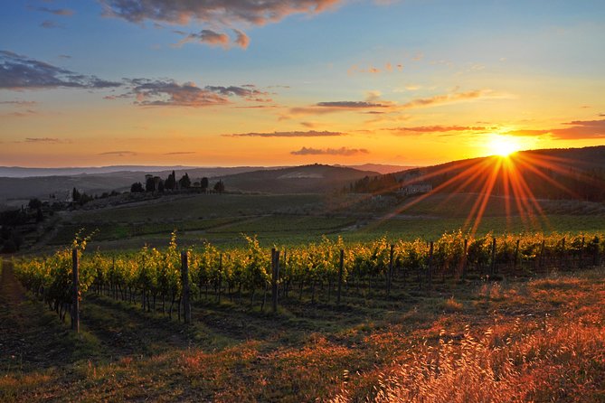 Private Florence and Chianti Wine countryside from Pisa Including Wine Taste - Ponte Vecchio and the Arno