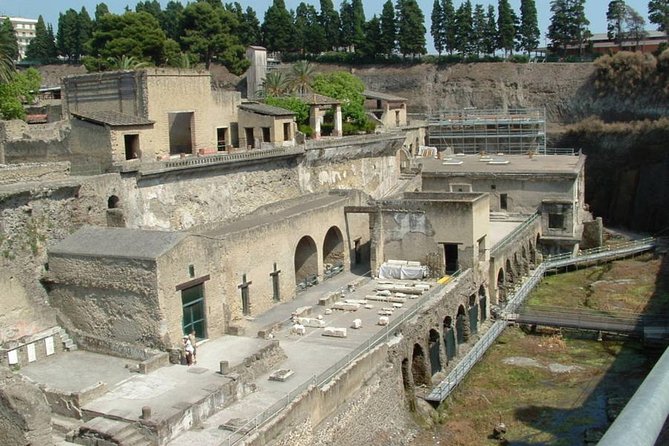 Private Full-Day Tour to Pompeii and Mt. Vesuvius with Winery Visit - Is the $300.73 price good value?