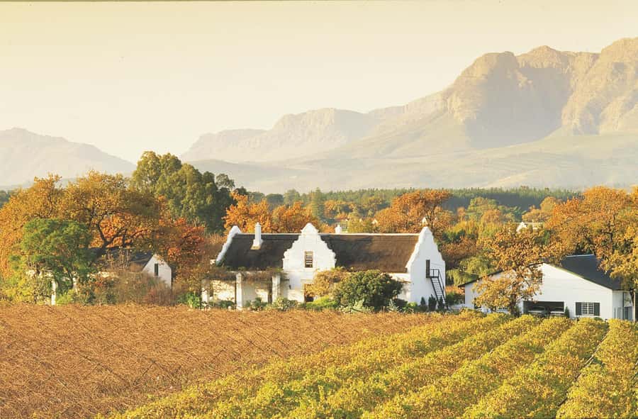 Private Full-Day Winelands Tour in Stellenbosch - Key points to know before booking