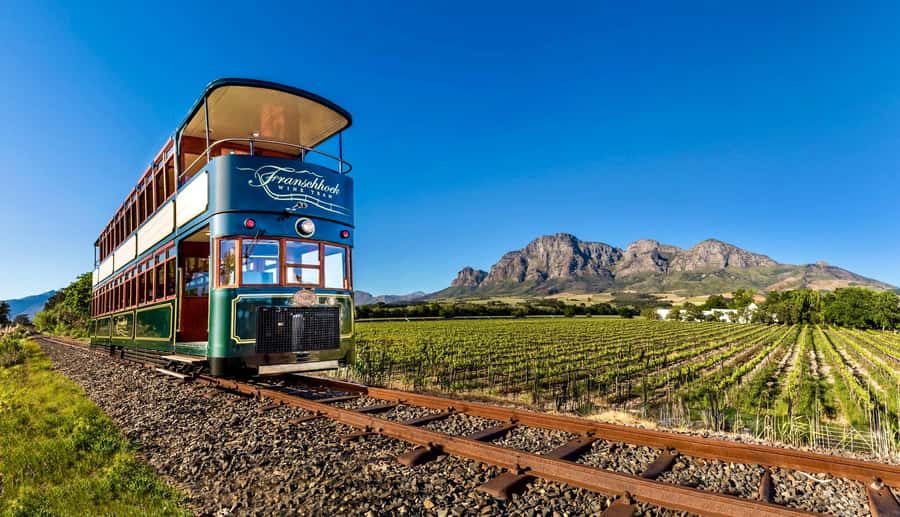Private Full-Day Winelands Tour in Stellenbosch - Franschhoek: French influence and a short tram ride