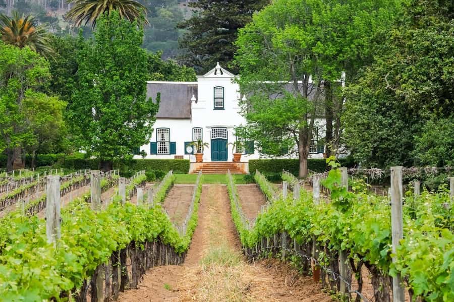 Private Full-Day Winelands Tour in Stellenbosch - What the $280 price really covers