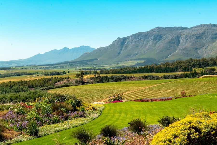 Private Full-Day Winelands Tour in Stellenbosch - The pace, group size, and practical details