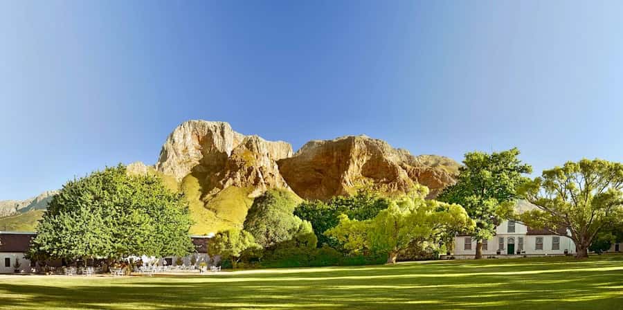 Private Full-Day Winelands Tour in Stellenbosch - Who will enjoy this tour most?