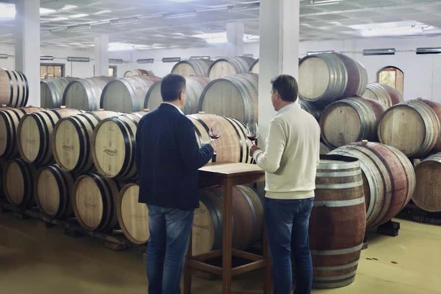 Private Full-Day Winelands Tour in Stellenbosch - Should you book it?
