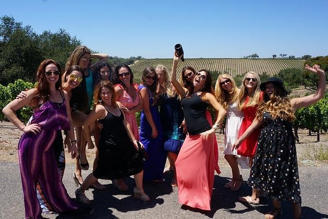 Private Group Wine Tour of Santa Barbara Wine Country - The box lunch is more useful than a snack stop