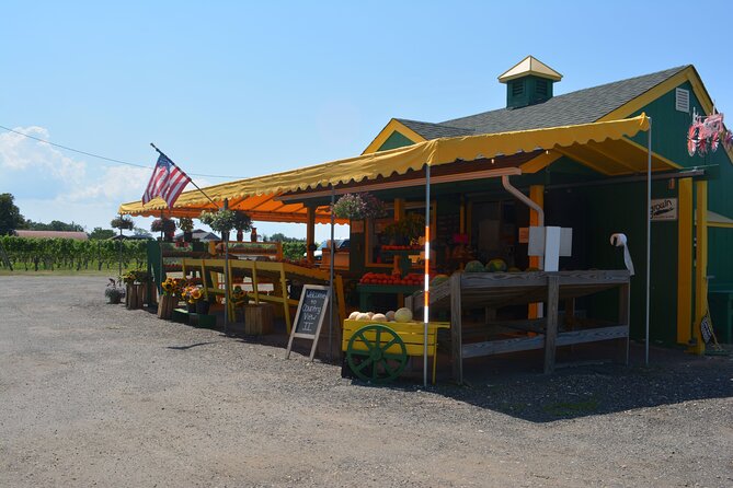 Private Guided Wine Country Bike Tour in Mattituck - Cutchogue Vineyards: Boutique Wine With Room to Choose