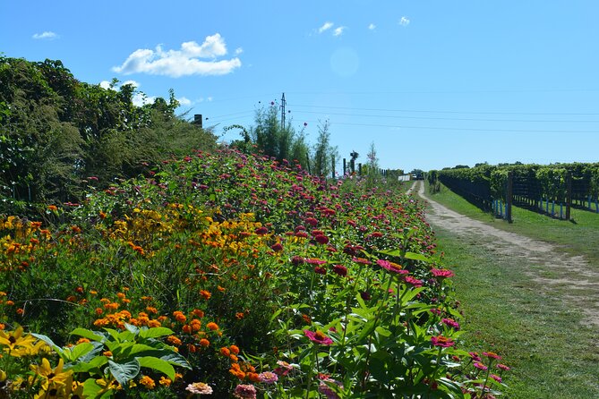 Private Guided Wine Country Bike Tour in Mattituck - Wickham’s Fruit Farm for a Farm-Stand Pause