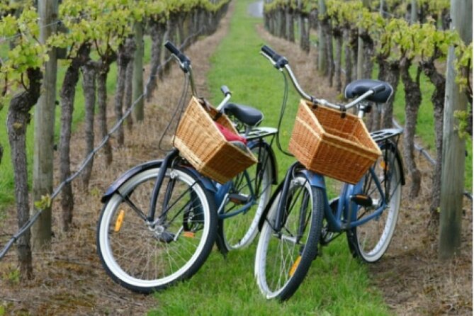 Private Guided Wine Country Bike Tour in Mattituck - New Suffolk: Bay Views and The Crushed Olive