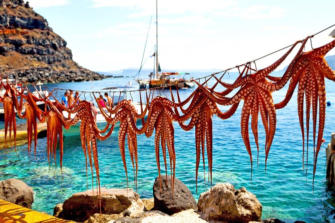 Private Luxury wine tour in Ancient Nemea and vineyards. - Ancient Nemea or Nafplio as an added cultural stop