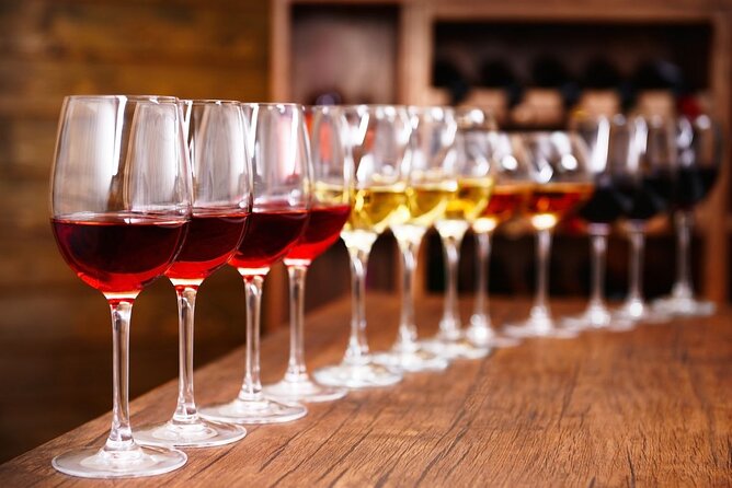 Private Luxury wine tour in Ancient Nemea and vineyards. - The first winery: learning how Nemea wine is made