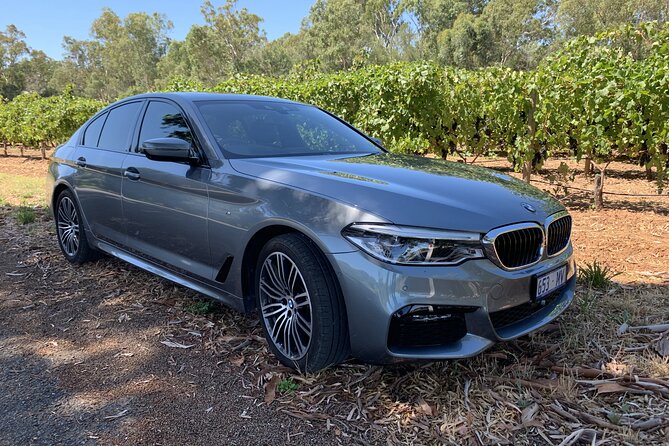 Private McLaren Vale Wine Region Tour from Adelaide - A host who can keep the day moving