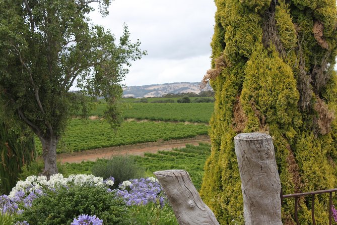 Private McLaren Vale Wine Region Tour from Adelaide - Comfort, privacy, and the small-group advantage
