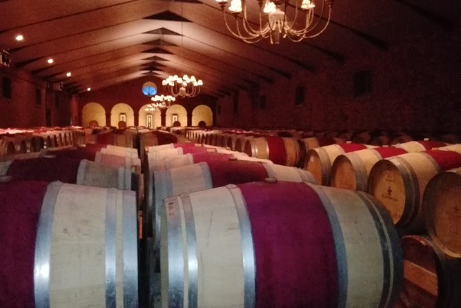 Private Package to Finest Vineyards - Stellenbosch pickup - Kleinood: a small estate with a Syrah focus
